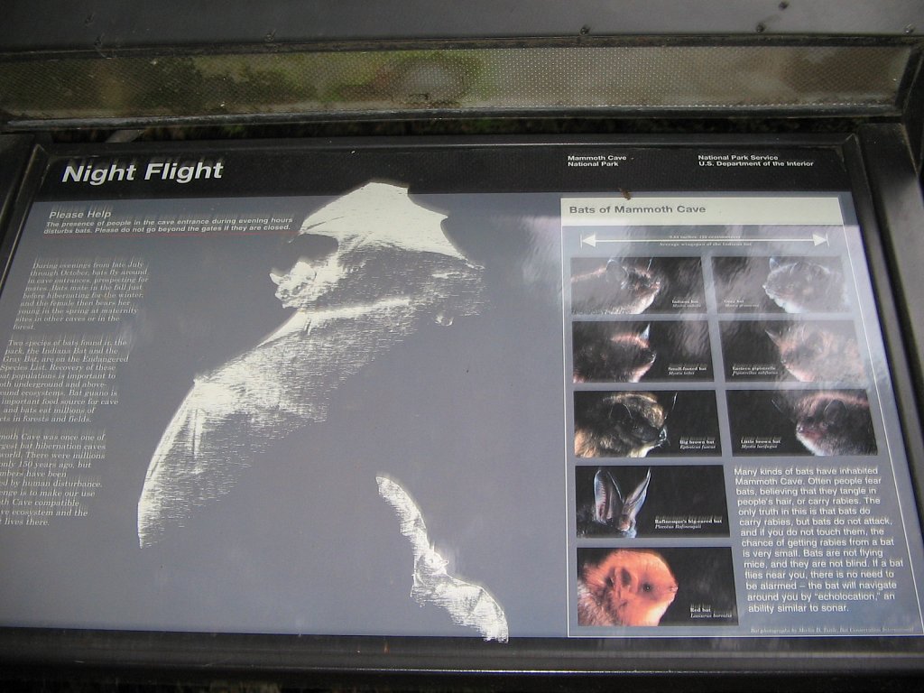 kentucky-014.jpg